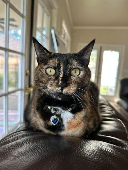 Royal Jewel Collection Pet Collar Blue Diamond Heart Necklace Magnetic Breakaway Safe with Crystal Diamond for Small Dogs & Cats